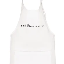 Evolúcia psie záprahy