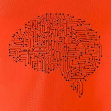 Tlačený spoj mozog