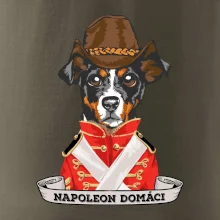 Napoleon domáci kríženec