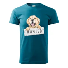 Zlatý retriever - šteniatko wanted