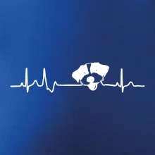 Jack Russell Teriér hrubosrstý Ekg