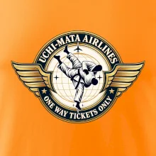 Uchi mata airlines one way tickets only