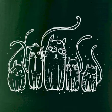 Mačacia rodina Mačacia rodina