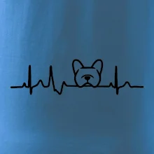 EKG Francúzsky buldoček hlava