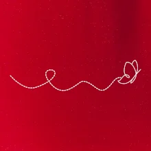 Dráha letu motýľa - vlnovka