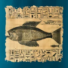 Egyptské hieroglyfy ryba