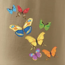 Farebné motýle Farebné motýle