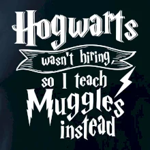 Harry - Hogwarts wasn’t hiring, so I teach Muggles instead
