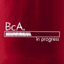 In progress titul BcA. bakalár / bakalárka umenia