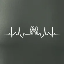 Shih-tzu ekg hlava Shih-tzu ekg hlava