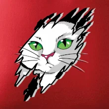 Kočka v roztrženém triku Kočka v roztrženém triku