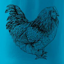 Sliepka čiernobiela