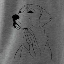 Labrador čierna kresba