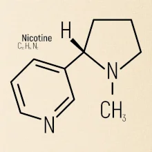 Molekulárna štruktúra Nikotín