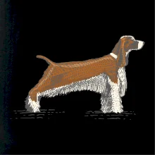 Vintage Springer spaniel