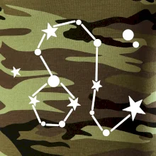 Súhvezdie - Leo - Lev Súhvezdie - Leo - Lev