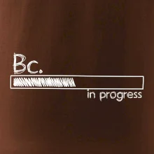 In progress titul Bc. bakalár / bakalárka