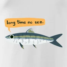 Long time no sea