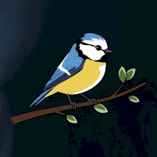 Sýkorka modrinka na vetve