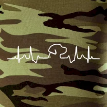 Labradorský retriever‎ EKG