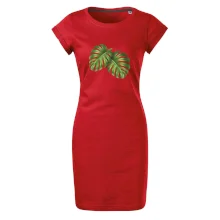 Monstera - dva listy