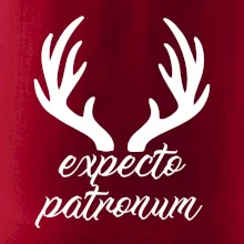 Harry - Expecto patronum Harry - Expecto patronum