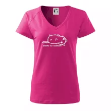 Dnes to nedávam Dnes to nedávam