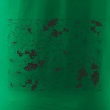 Listy viniča tapeta