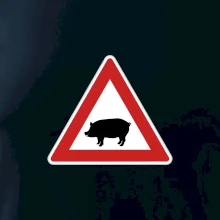 Dopravná značka - Pozor prasa domáca