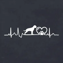 Nemecký boxer EKG Nemecký boxer EKG