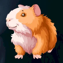 Morča - kreslené, bielo oranžové