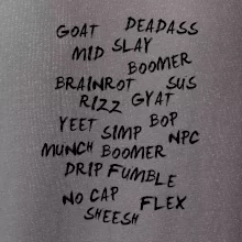 Generácia Z - Gén Z slovník