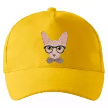 Hipster sphynx