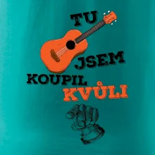 Když koupíš kytaru