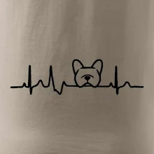 EKG Francúzsky buldoček hlava