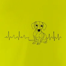 EKG krivka jazvečík