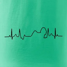 Shih-tzu ekg obrys Shih-tzu ekg obrys