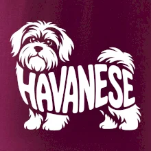 Havanese nápis v tele