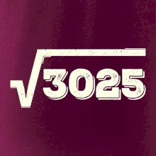 Narodeniny odmocniny 55