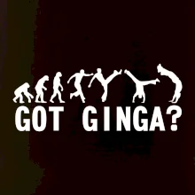 Capoeira - Got Ginga