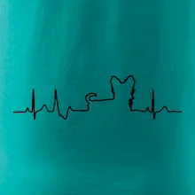 Yorkshirský teriér EKG Yorkshirský teriér EKG