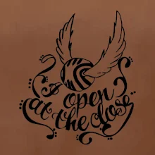 Harry - Zlatá strela