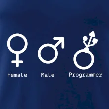 Female male programmer