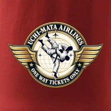 Uchi mata airlines one way tickets only