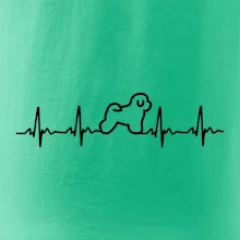 Bišónik ekg Bišónik ekg