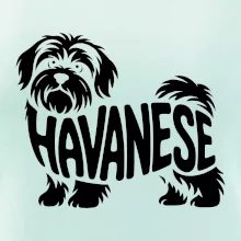 Havanese nápis v tele