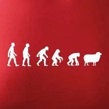 Evolúcia ovce Evolúcia ovce