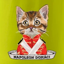 Napoleon domáci mačka