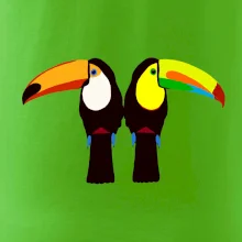 Dva barevní tukani (Moňas) Dva barevní tukani (Moňas)