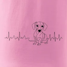 EKG krivka jazvečík